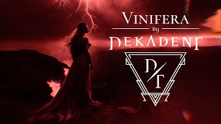 DEKADENT  Vinifera  OFFICIAL LYRIC VIDEO [upl. by Atnima]