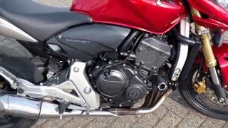 Honda CB600F Hornet 2007 PC41 indepth tour  Petrol Passion [upl. by Gustafsson]