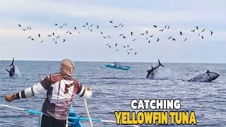 Amazing Fastest Giant Yellowfin Tuna Fishing Skill  Matinding Hilahan  Jackpot [upl. by Eoj]