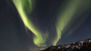 AURORA BOREALIS  Polarlichter über Island c Falk Sischka [upl. by Aronas]