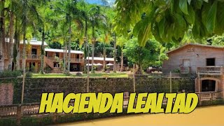 Visita a La Hacienda Lealtad en Lares Puerto Rico [upl. by Enomas]