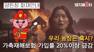 가축재해보험 급감 우리농장은 혹시 🐷 24년 7월 양돈장 화재 안내 [upl. by Aehsel]