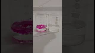 phenolphthalein indicator with acid and base trending viral education science chemistry shorts [upl. by Ocram]