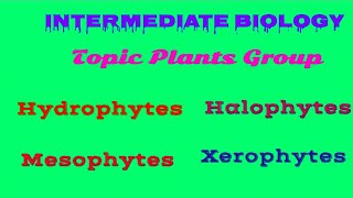 Osmoregulation  Homeostatisis  MsSabeen Zahoor  Plant Pathologist [upl. by Arimat]