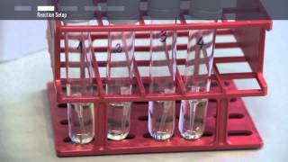 How to perform colony PCR [upl. by Gala]