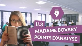 Lecture commentée de Madame Bovary Partie II Chapitre 3 Points d’analyse  Littérature [upl. by Eed]