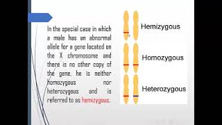 Introduction to genetics pedigree chart and Mendelian pattern of inheritance [upl. by Omura]