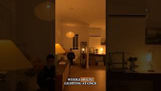 Smart lights are worth the investment [upl. by Nido]