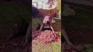 🚨Leaf Raking Hack🚨 diy rakingleaves [upl. by Noli]