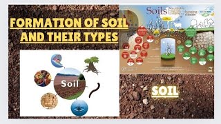 Formation Of Soil  Types Of Soil  Shorts overview [upl. by Tavy]