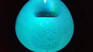 bright blue LED toilet flush [upl. by Ahsuoj]