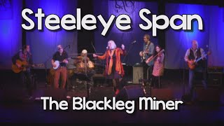 Steeleye Span  Blackleg Miner Live [upl. by Tram]