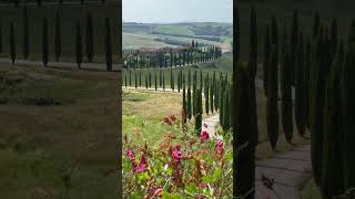 Nature di val’dorcia siena toscana 📍silent nature rilassamento shorts motivation [upl. by Gnuhn]