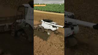 Canola Harvesting with Lizard Reaper 2000 Harvester  Farming Simulator 22 [upl. by Aicssej]