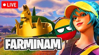 Farminam CROWNS  Fortnite Lietuviškai LIVE [upl. by Adiuqram]