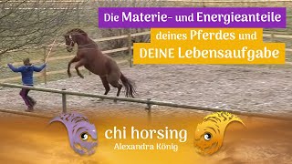 Die Materie und Energieanteile Deines Pferdes weisen Dir den Weg zu Deinen Lebensaufgaben [upl. by Atiluap]