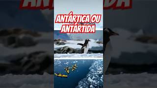 ANTÁRTICA ou ANTÁRDIDA [upl. by Latreese]