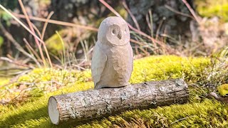 Whittle an Owl in 8 Easy Steps [upl. by Leatrice]