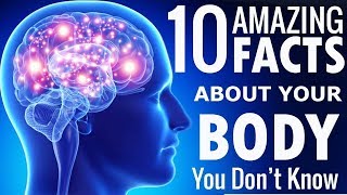 10 Amazing Facts About Human Body You Dont Know About  Astounding Facts [upl. by Harrington]