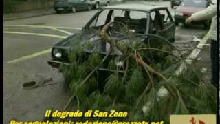 Arezzo degrado ed auto abbandonate a San Zeno ArezzoTv 30122009 [upl. by Eiramit290]