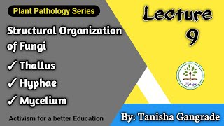 Fungal Cell  Structural Organisation of Fungi  Thallus  Hyphae  Mycelium by Tanisha Gangrade [upl. by Alcinia]