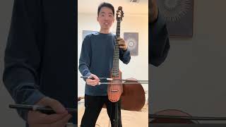 Comparing 4 Instruments FretlessFretted Electric Cellos Acoustic Cello and Double Bass [upl. by Quintessa357]