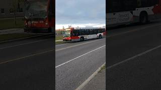 OC Transpo 2019 Nova Bus LFS 4615 168 Bridlewood [upl. by Betteann]