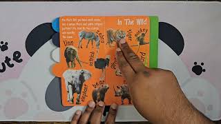 Creative Teaching Animals Book Reading Aloud 📖 📚 [upl. by Elohcim]