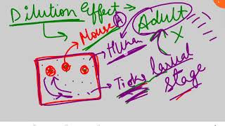 What is dilution effect Ecologylife sciences csir gate neet 🔥💯😎 [upl. by Fatsug881]