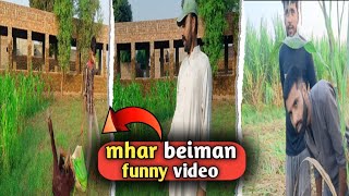 poor Mahr vs Rich Mahr funny video😁😁 [upl. by Ihcas578]