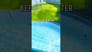 Satisfying pool cleaning  reallifecleaning bestwaypool poolcleaning cleantok asmrcleaning [upl. by Bobseine]