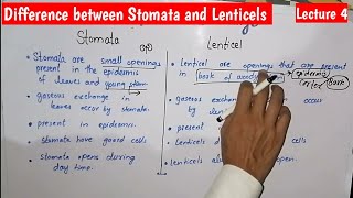 Difference between Stomata and Lenticels  Gaseous Exchange in Plants  Chap Gaseous Exchange Lec 4 [upl. by Repard]