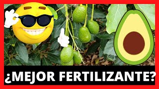 Cual es el MEJOR fertilizante o ABONO para AGUACATE 🥑 [upl. by Jedidiah]