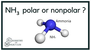 Is NH3 Polar or Nonpolar Ammonia [upl. by Snah]