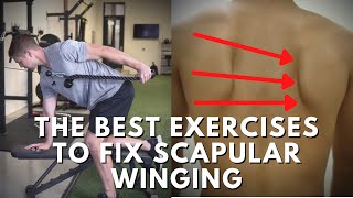 Effective Exercises To Fix Scapular Winging  Targeting The Weak Muscles [upl. by Mloclam174]