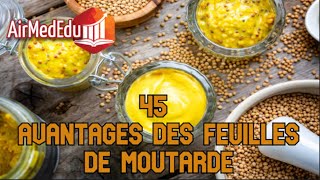 45 Avantages des Feuilles de Moutarde [upl. by Gustafsson482]