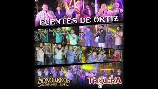 Fuentes de Ortiz  SonorenosDelCompaTico Ft bandatrigueraa [upl. by Kcirdnek363]