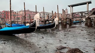 Disaster in Venice The water is gone the channels are dry Italy [upl. by Ciri]