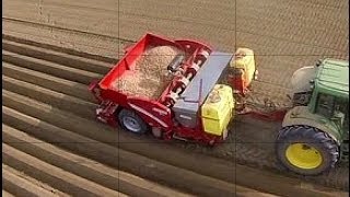 Grimme GL430 www keller technik [upl. by Schofield631]