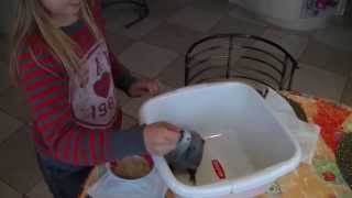 ŻAKO  ręczne karmienie pierwsze loty itp  hand feeding african grey etc [upl. by Frasco]