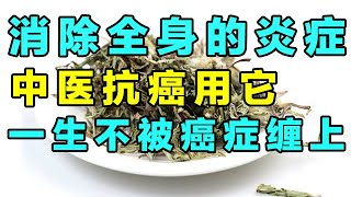 国医大师周老抗癌11年，最爱用的神奇中药是它，消除炎症，预防癌症【精选】 [upl. by Roti340]