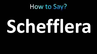 How to Pronounce Schefflera correctly [upl. by Silliw]