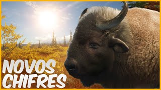 MUDANÇA NO BISÃO CAÇADA EM YUKON VALLEY  THE HUNTER CALL OF THE WILD GAMEPLAY [upl. by Navada]