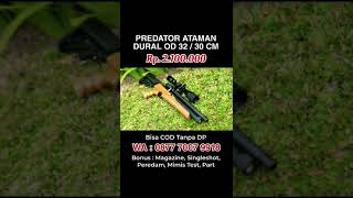 PREDATOR ATAMAN DURAL OD 32  30 CM  Rp2100000 Bisa COD Tanpa DP [upl. by Rammus]