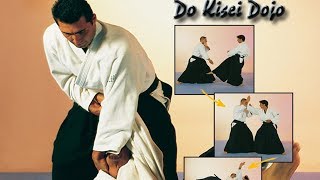 Aïkido  Do Kisei Dojo  Les techniques de Steven Seagal [upl. by Ike]