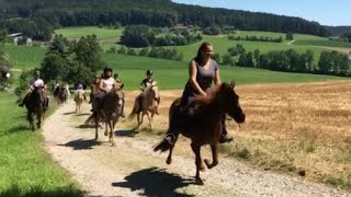 Reiten beim Pferdehof Koaser Minerl [upl. by Hamlani328]