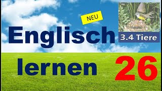 Englisch lernen Vokabeln Thema Tiere 2 [upl. by Annaillil]