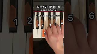 Metamorphosis easy piano tutorial pianotutorial sigma sigmastatus sigmarule shorts fyp [upl. by Brittney310]