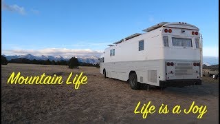 Bus Conversion to Motor Home 104 Look at passenger seat meeting new friends [upl. by Treblih]