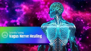 Vagus Nerve Restoration Through Soothing Frequencies Vagus Nerve Healing Frequency Serenity Tones [upl. by Kreager499]